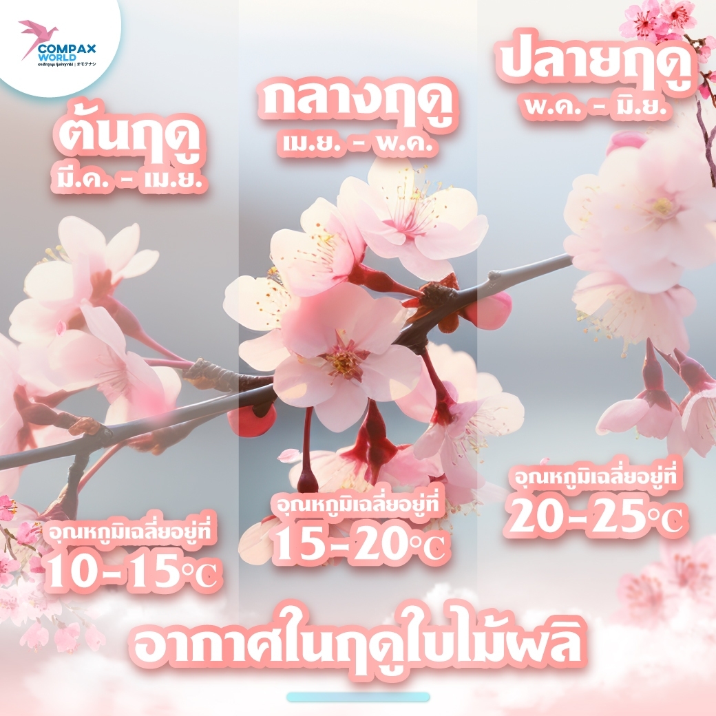 ทัวร์ญี่ปุ่น เที่ยวญี่ปุ่น โปรแกรมทัวร์ญี่ปุ่น